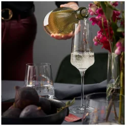 Ritzenhoff CELEBRATION DELUXE CHAMPAGNERGLAS-SET #3