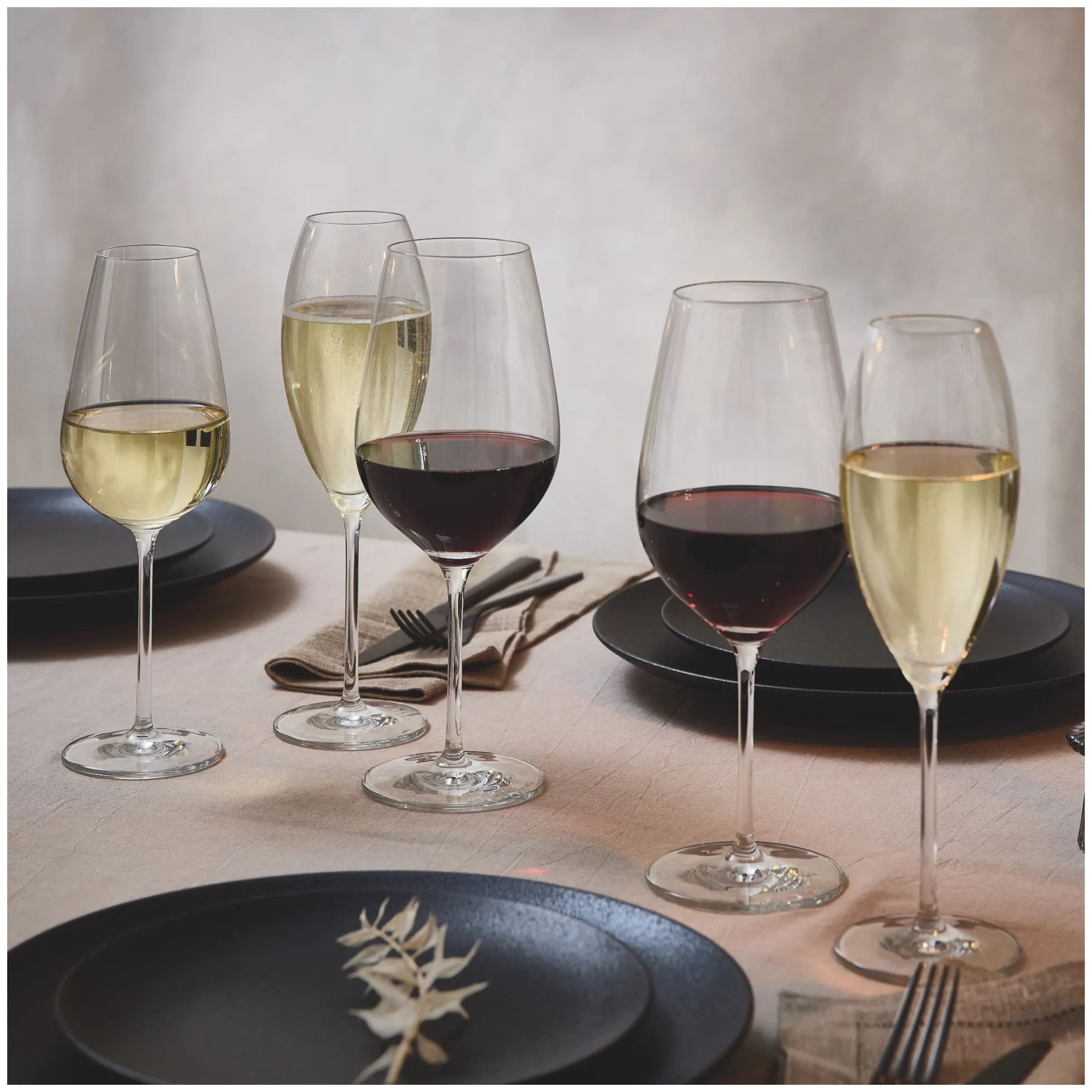 Ritzenhoff GLANZLICHT ASPERGO ROTWEINGLAS-SET H24