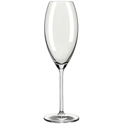 Ritzenhoff GLANZLICHT CHAMPAGNERGLAS-SET #1