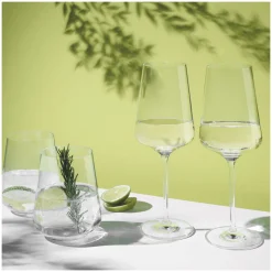 Ritzenhoff LICHTWEISS JULIE WEISSWEIN- UND WASSERGLAS-SET #1