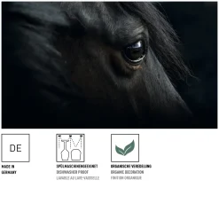 Ritzenhoff reitgold cocktailglas #11