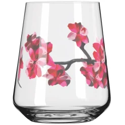 Ritzenhoff SOMMERSONETT ALLROUNDGLAS-SET F25