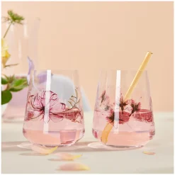 Ritzenhoff sommersonett universalglas-set #1, #2