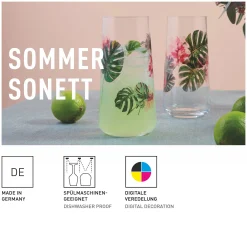 Ritzenhoff SOMMERSONETT UNIVERSALGLAS-SET F24