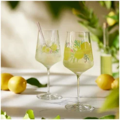 Ritzenhoff sommertau limoncello aperitifglas-set #19, #20